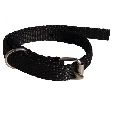 Collier pour Chien, Collier en Nylon Réglable Classique